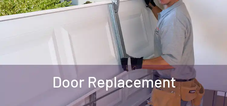  Door Replacement 